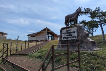 В заповеднике "Хакасский" завершен первый этап грантового проекта по возрождению степей