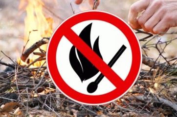 Особый противопожарный режим введут в Хакасии с 4 апреля