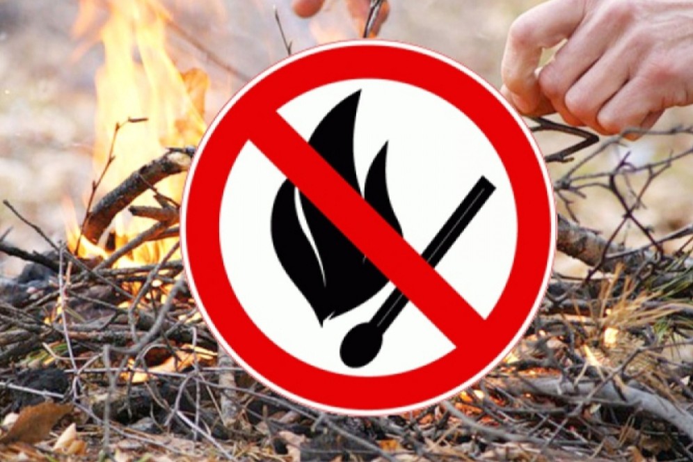 Особый противопожарный режим введут в Хакасии с 4 апреля