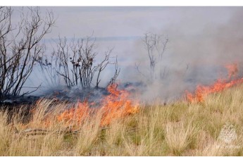 Хакасия в зоне риска: МЧС ожидает осложнения обстановки с ландшафтными пожарами в Сибири