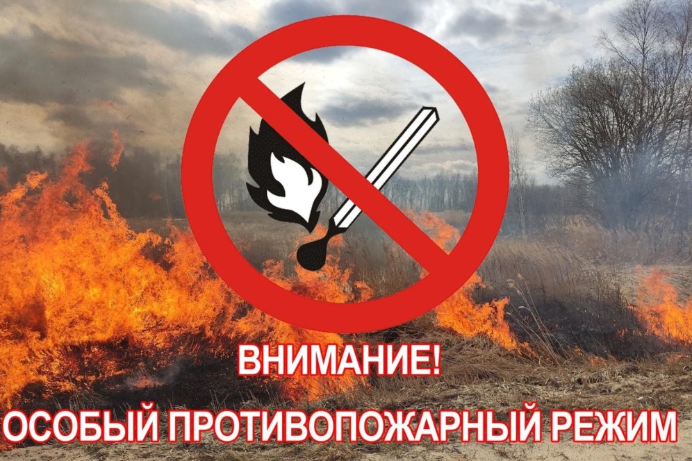 В Хакасии введен особый противопожарный режим