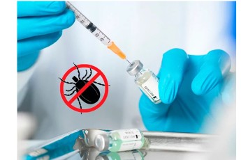 В Хакасию поступила вакцина от клещевого энцефалита