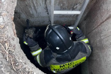 В Красноярском крае спасатели вызволили щенка из пятиметрового колодца