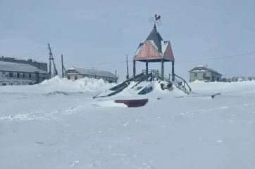 В Красноярском крае возбуждено уголовное дело по факту нападения стаи бродячих собак на пятилетнюю девочку