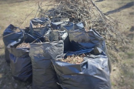 Минприроды Хакасии напомнило правила утилизации растительных отходов