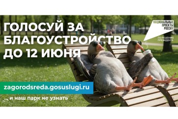 В Абакане стартовал отбор территорий для благоустройства в 2027 году