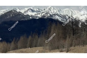 В Бурятии возбуждено дело о гибели трех красноярских туристов в горах Восточного Саяна