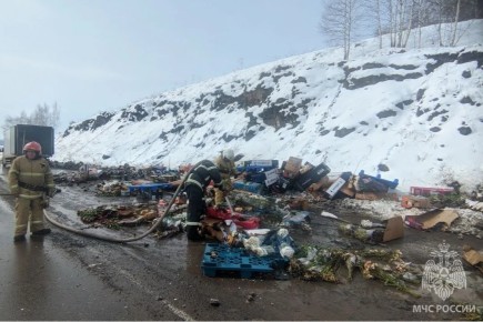 В Хакасии загорелся грузовик с цветами