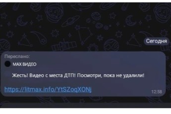 Полиция Ширинского района возбудила дело о мошенничестве с микрозаймами через фишинговую ссылку