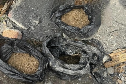 Полицейские изъяли у жителя Бейского района Хакасии почти килограмм марихуаны