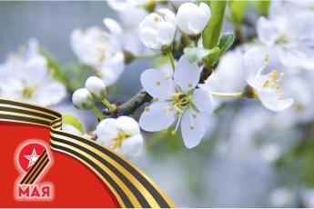 В Хакасии стартуют патриотические акции ко Дню Победы