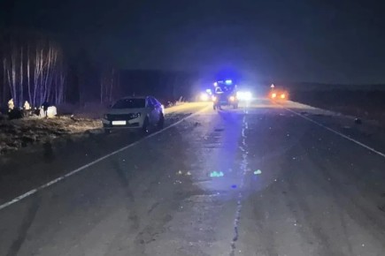 Полиция расследует ДТП с тремя погибшими после столкновения с лошадью в Красноярском крае