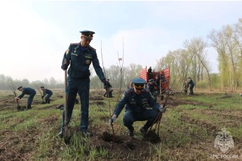 Яблоневый сад от огнеборцев появился в Абакане накануне Дня Победы
