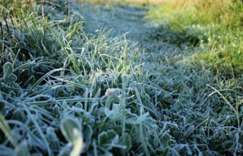 В Хакасии жару и ветер снова сменят заморозки
