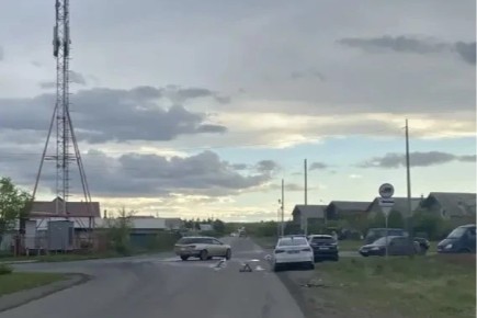 В Черногорске на перекрестке столкнулись два автомобиля, пострадала женщина