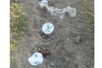 Вандалы в Хакасии разрушили геоглиф «солярный знак», высаженный в рамках акции "Сад памяти"