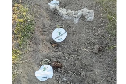 Вандалы в Хакасии разрушили геоглиф «солярный знак», высаженный в рамках акции "Сад памяти"