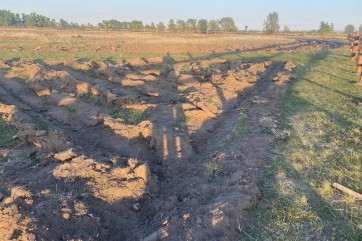 Полицейские Хакасии: «Сад памяти» в аале Сапогов уничтожила отара овец