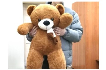 Полицейские Абакана задержали вора, укравшего розы и плюшевого медведя