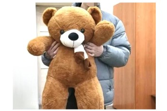 Полицейские Абакана задержали вора, укравшего розы и плюшевого медведя