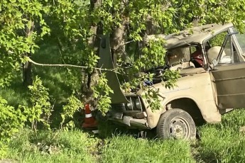 В Таштыпе нетрезвый водитель "Жигулей" съехал с дороги и врезался в дерево