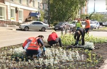 Абаканские выпускники вырвали городские цветы