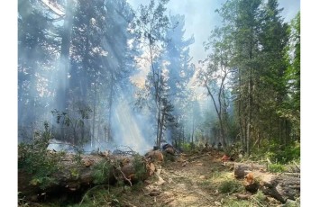 Лесные пожарные ликвидировали огонь на труднодоступной скале в Хакасии