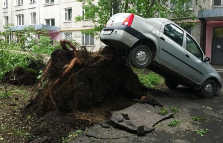 Ураган унес жизни 11 человек в Москве