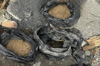 Житель Бейского района предстанет перед судом за хранение почти килограмма марихуаны