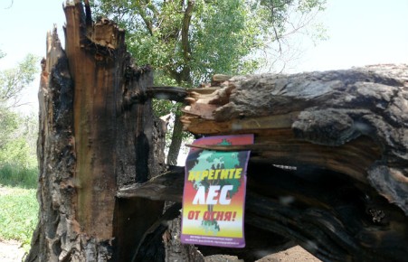 В Хакасии особый противопожарный режим продлят до 15 июня