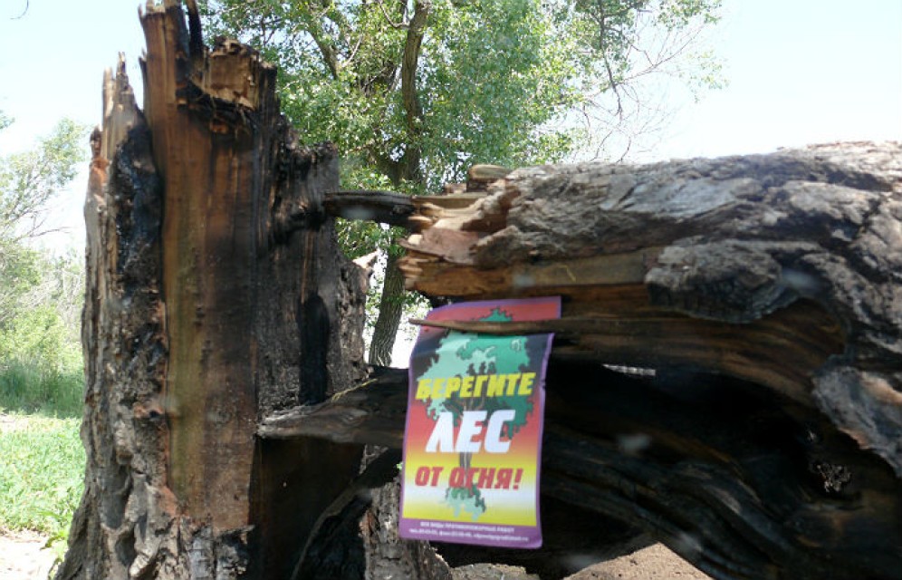 В Хакасии особый противопожарный режим продлят до 15 июня