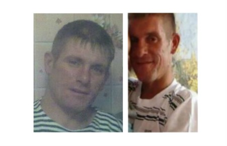 В Красноярском крае ищут пропавшего после укуса клеща уроженца Хакасии