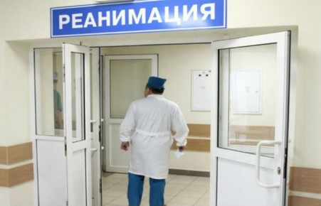 В Хакасии умер ребенок, на которого напали два стаффордширских терьера