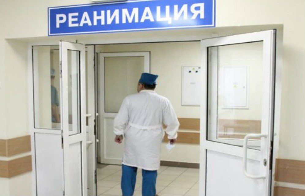 В Хакасии умер ребенок, на которого напали два стаффордширских терьера