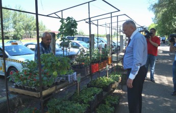 В Хакасии пострадавшие от града дачники безвозмездно получили рассаду