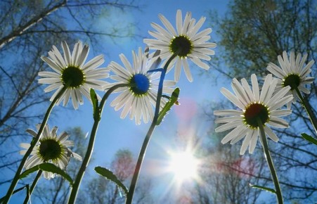 Июль в Хакасии будет теплым и дождливым