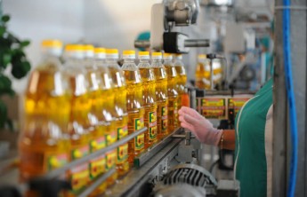 В Хакасии появится завод по производству подсолнечного и рапсового масел