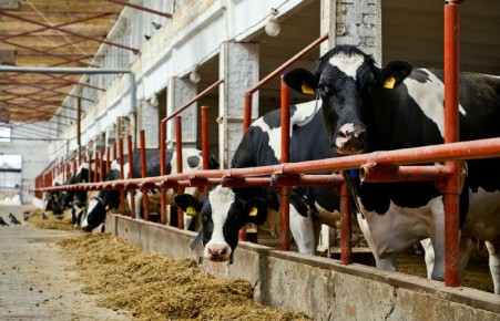 В Хакасии запустят производство за 3 миллиарда рублей