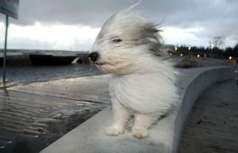  В Хакасии снова объявлено штормовое предупреждение
