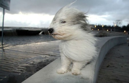  В Хакасии снова объявлено штормовое предупреждение