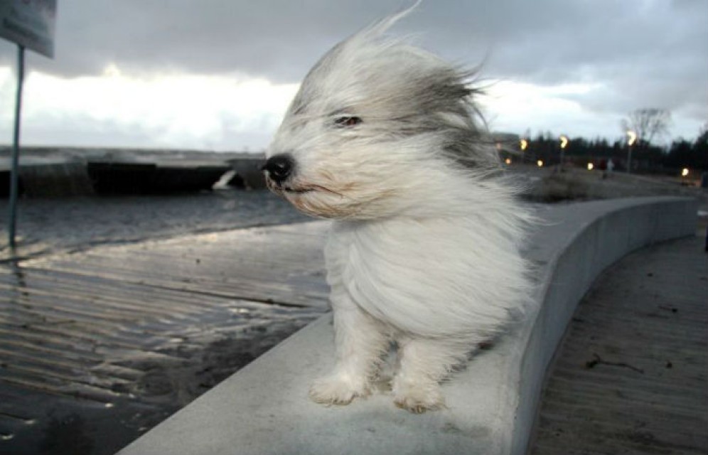  В Хакасии снова объявлено штормовое предупреждение
