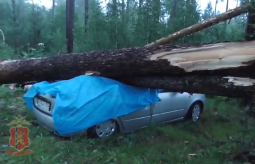 Шторм на озере в Красноярском крае: пострадали 5 человек, дерево рухнуло на машину с 10-летней девочкой