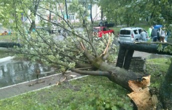 Шира остался без света из-за сильного ветра, ливень подтопил два десятка домов