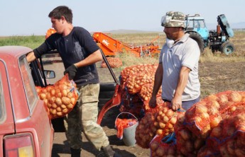 Пострадавшие от града жители Хакасии получат помощь от фермеров