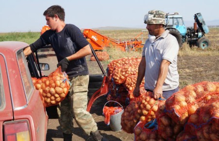 Пострадавшие от града жители Хакасии получат помощь от фермеров