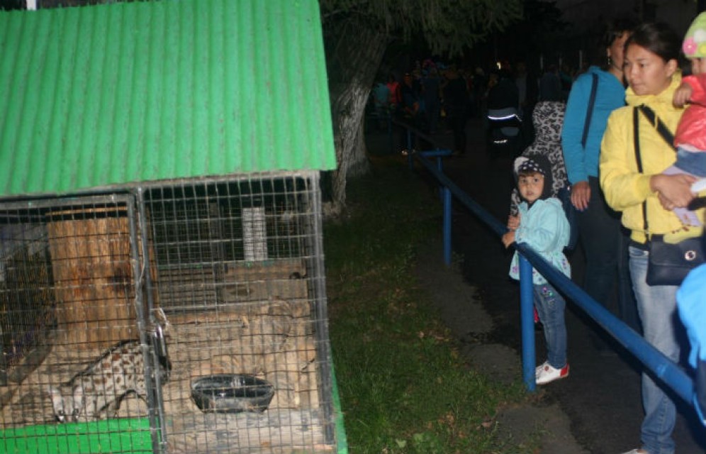 Жителей и гостей Хакасии приглашают на «Ночь в зоопарке»