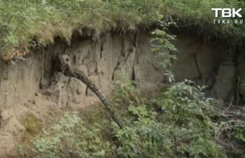 В поселке Красноярского края в земле образовались 10-метровые воронки