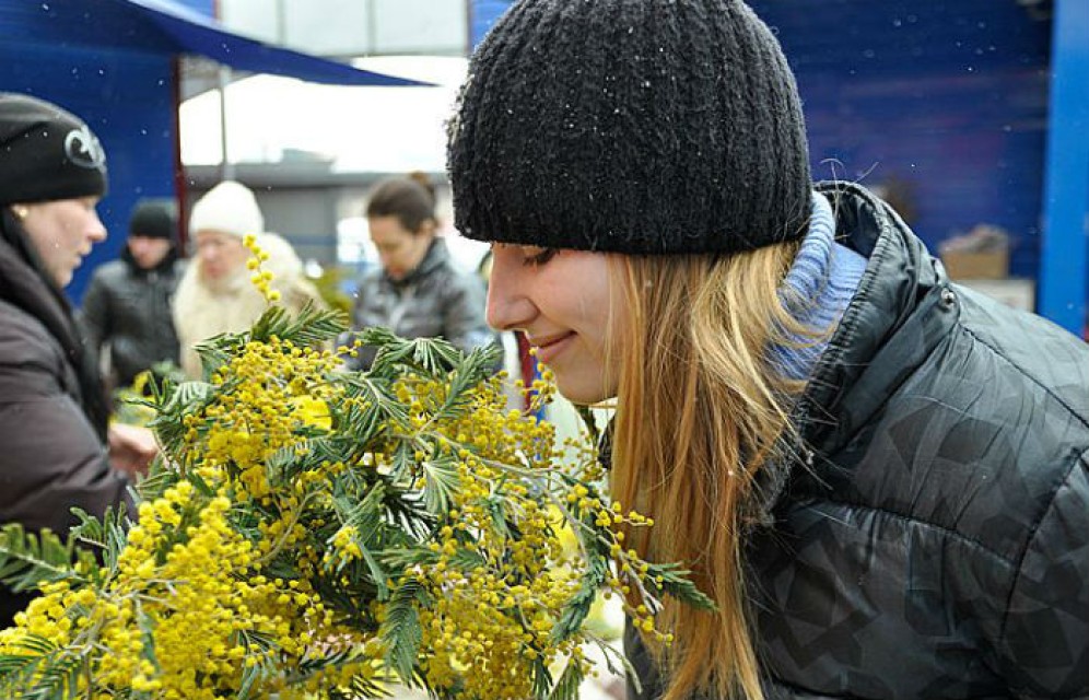 Мимоза попала в список запрещенных веществ в РФ