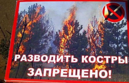 Хакасия будет жить без шашлыков до конца лета