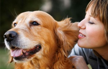 Животные заговорят как люди через 10 лет